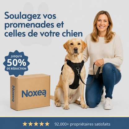 Harnais anti-traction Noxea