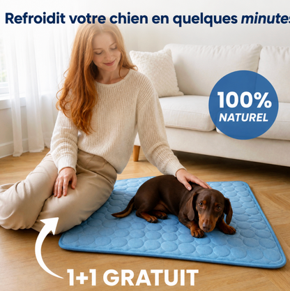 Tapis rafraichissant pour les chiens Noxea
