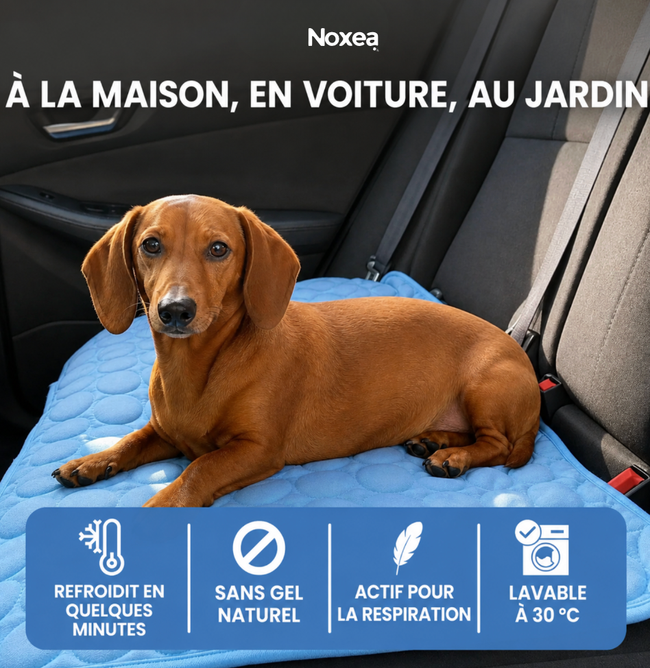 Tapis rafraichissant pour les chiens Noxea
