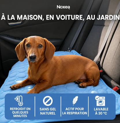 Tapis rafraichissant pour les chiens Noxea