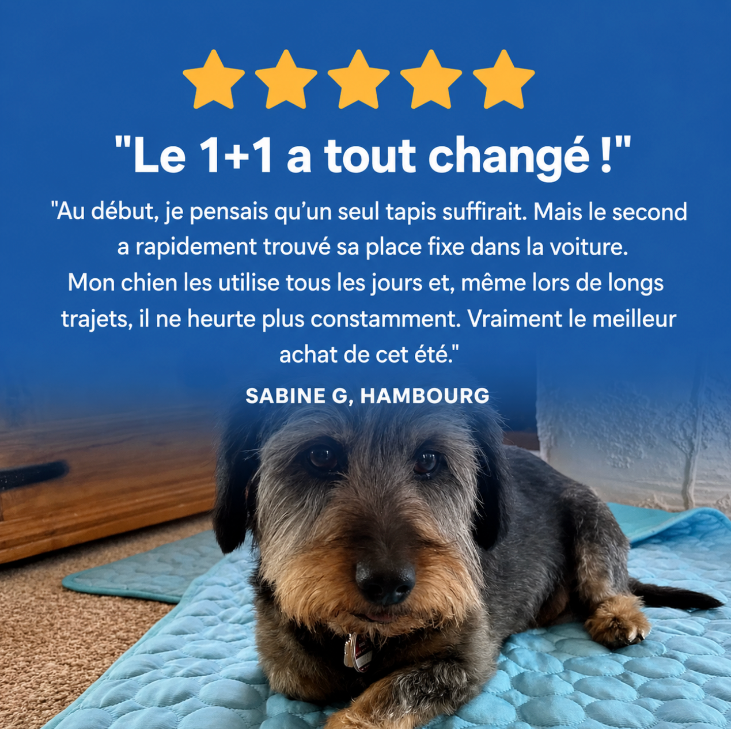 Tapis rafraichissant pour les chiens Noxea