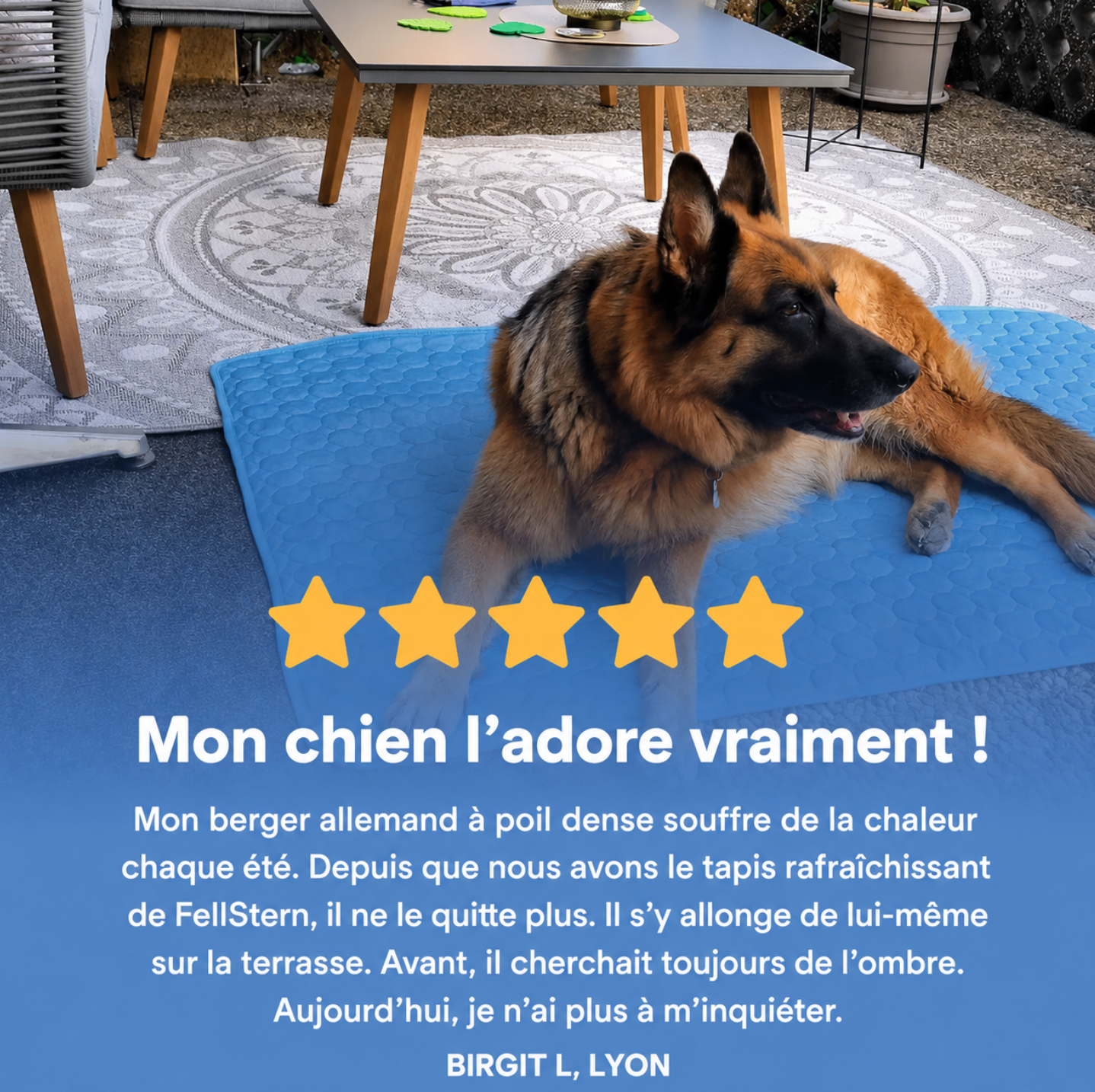 Tapis rafraichissant pour les chiens Noxea