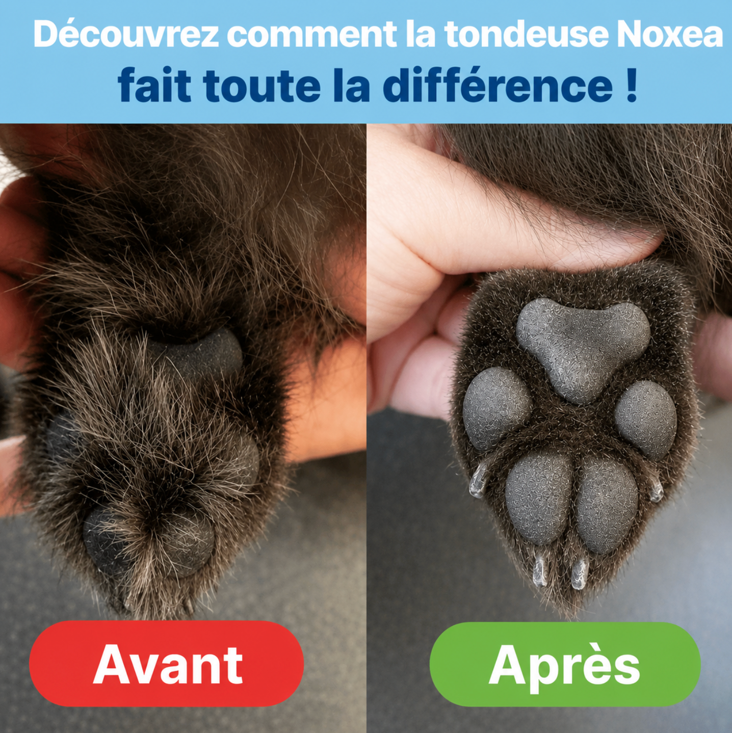 Tondeuse Noxea - Soin des pattes sans douleur en quelques secondes
