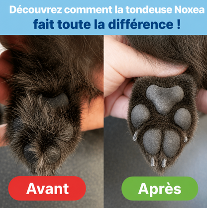 Tondeuse Noxea - Soin des pattes sans douleur en quelques secondes