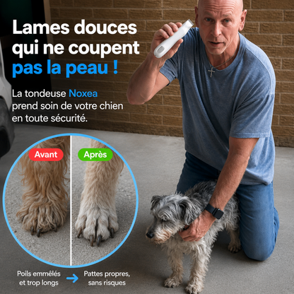 Tondeuse Noxea - Soin des pattes sans douleur en quelques secondes